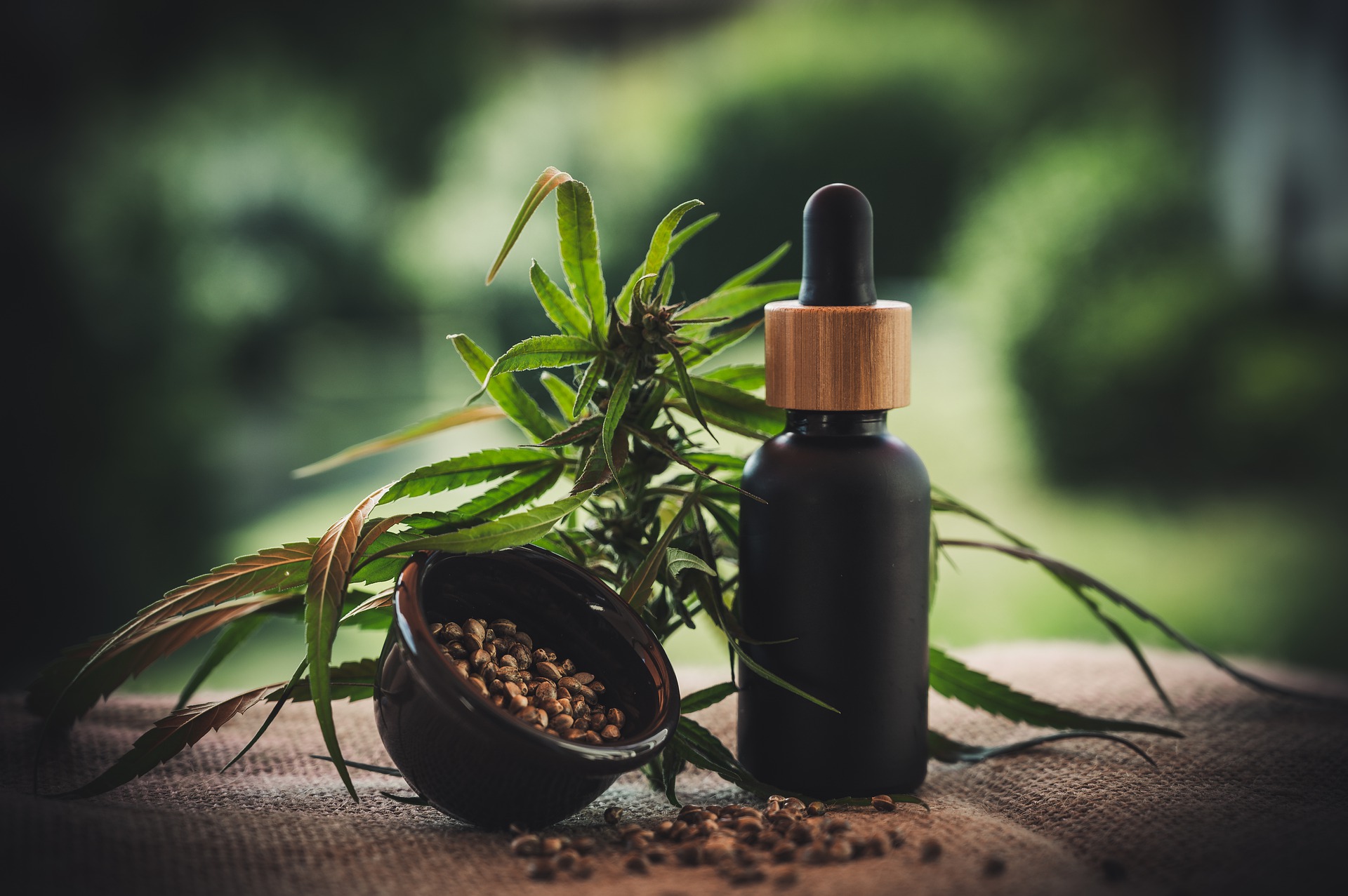How to Know the Perfect Manufacturer of CBD Oil